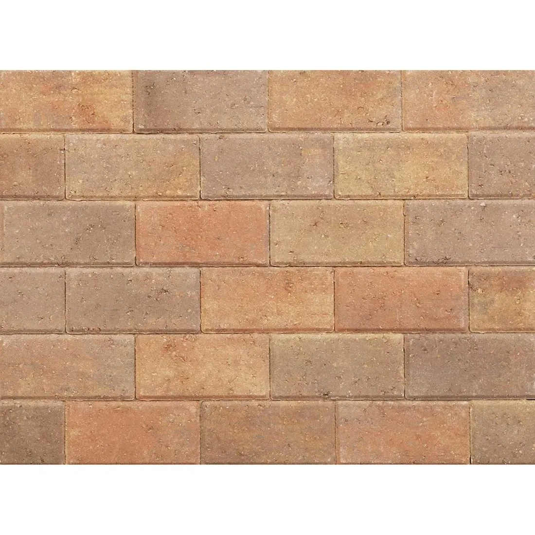 Pavedrive 50mm Forest Blend Paver