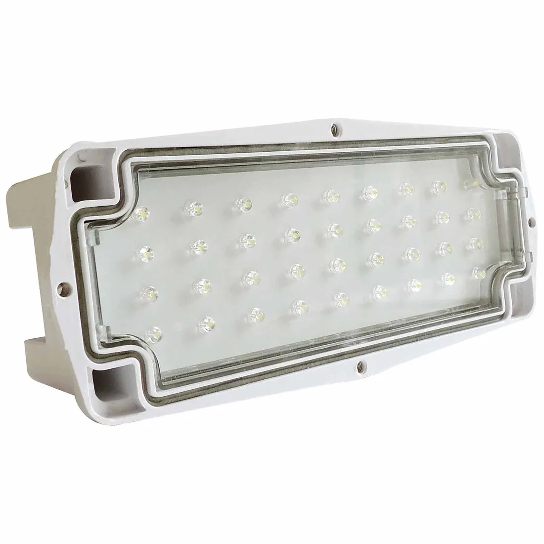 Eterna LED Brick Light With Stainless Steel Frame IP65