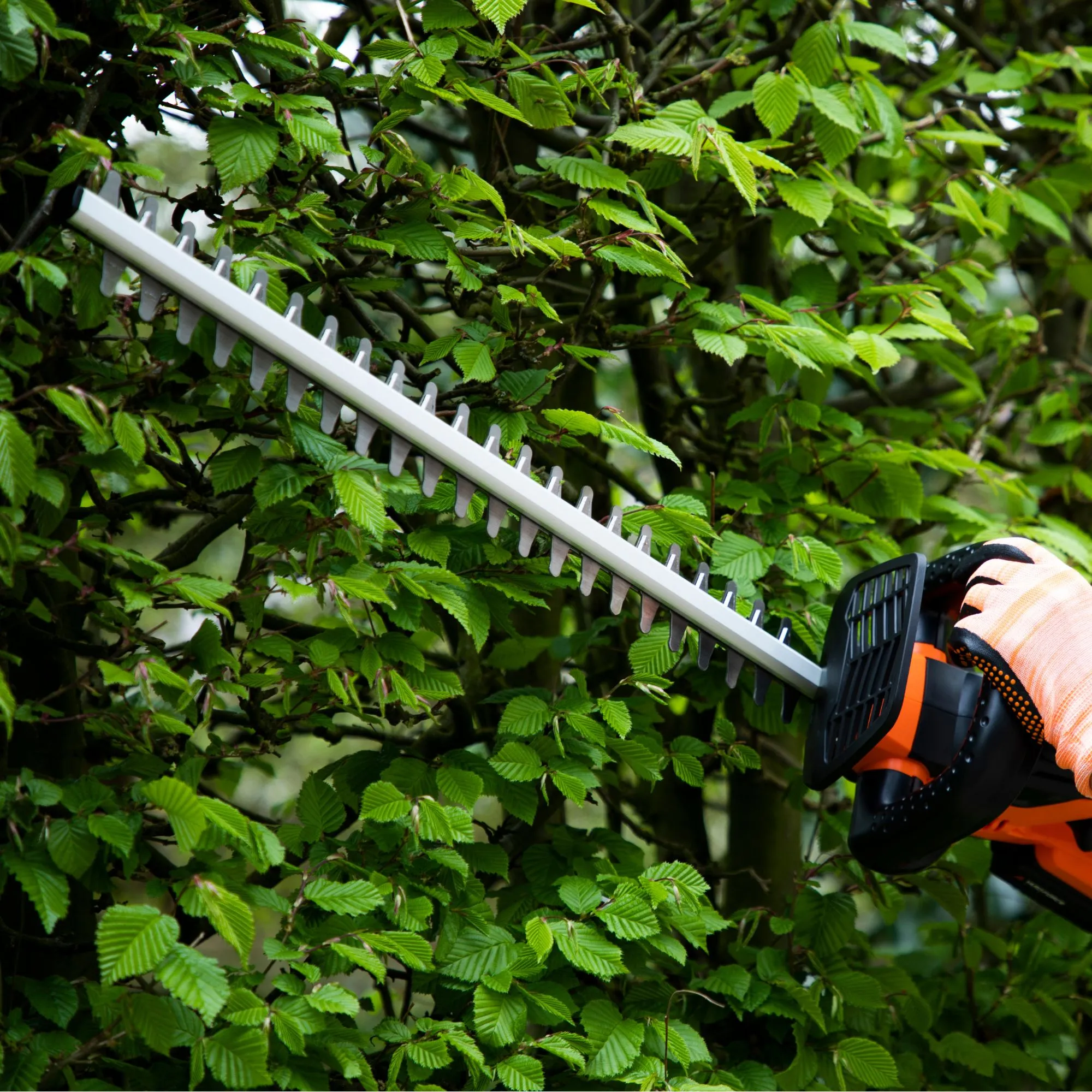 Yard Force 20V Cordless Hedge Trimmer