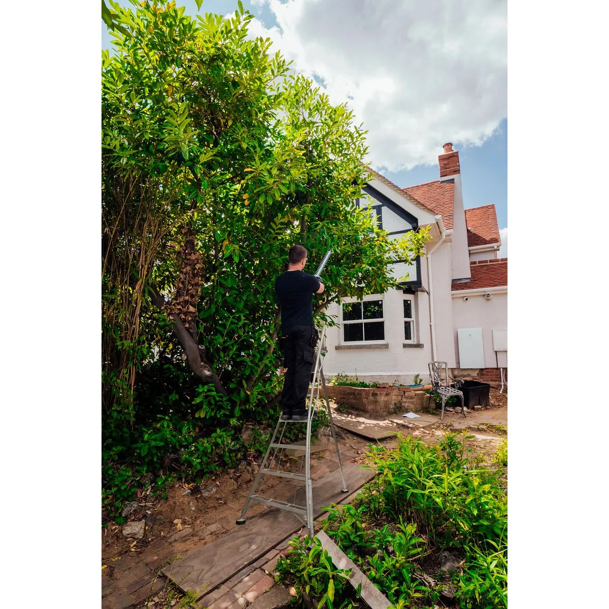 Werner Adjustable Tripod Ladder