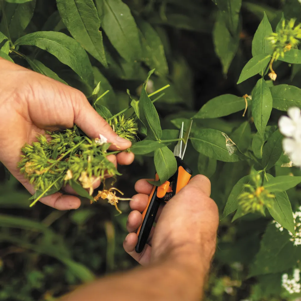 Fiskars Solid Sp13 Pruning Snip - Microtip