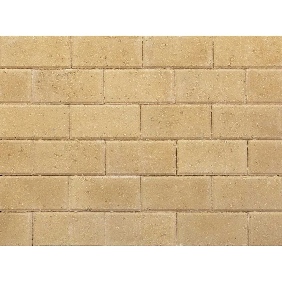 Trade Pack x 488 Pavedrive 50mm Buff Paver