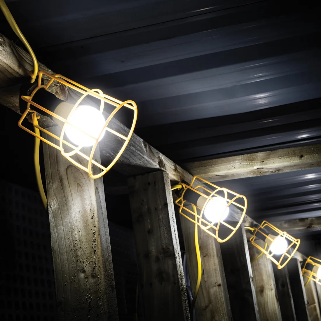LED Festoon Lights