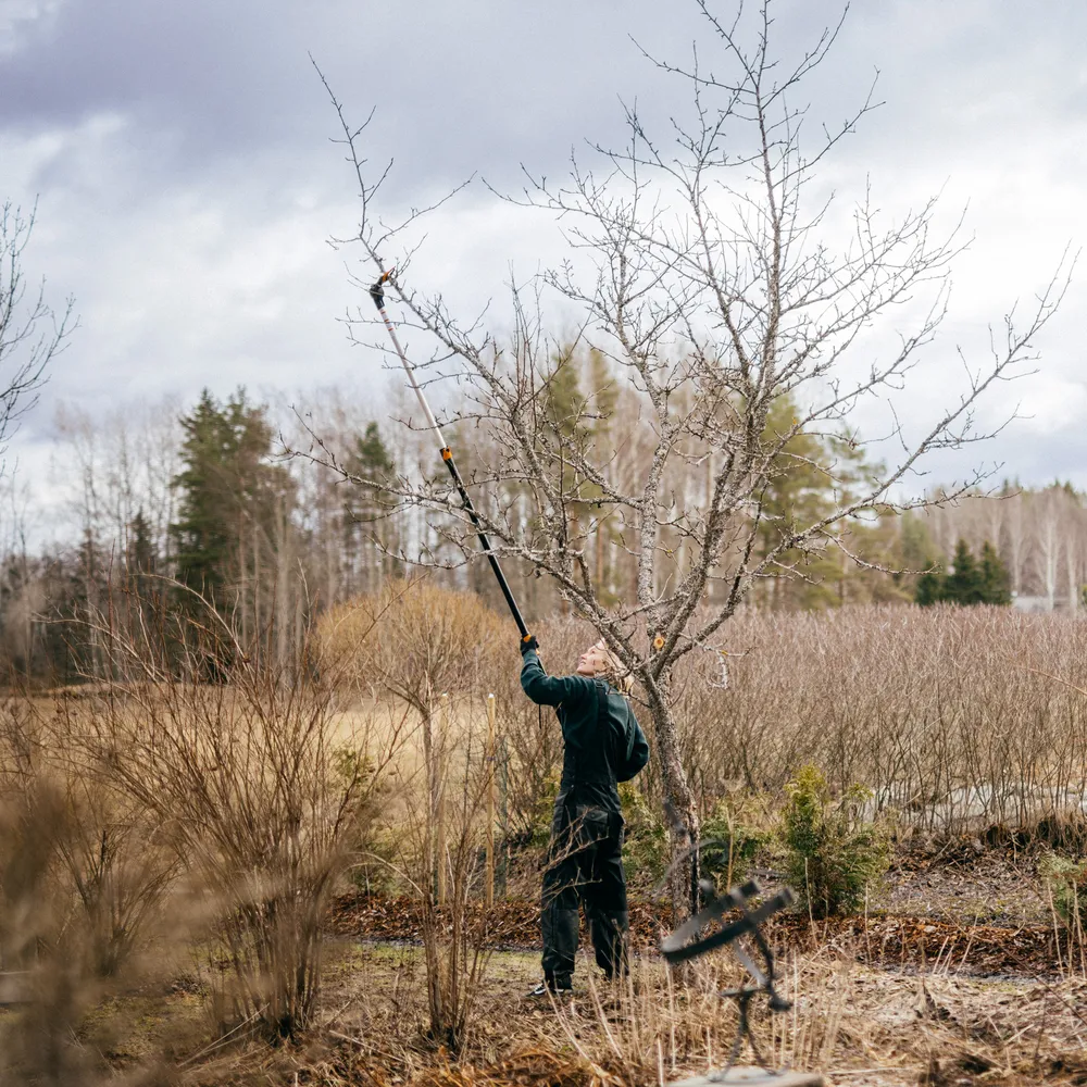 Fiskars Powergear X Telescopic Tree Pruner