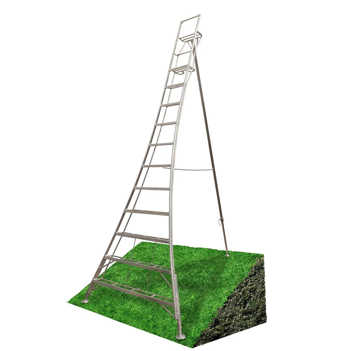 Werner Adjustable Tripod Ladder