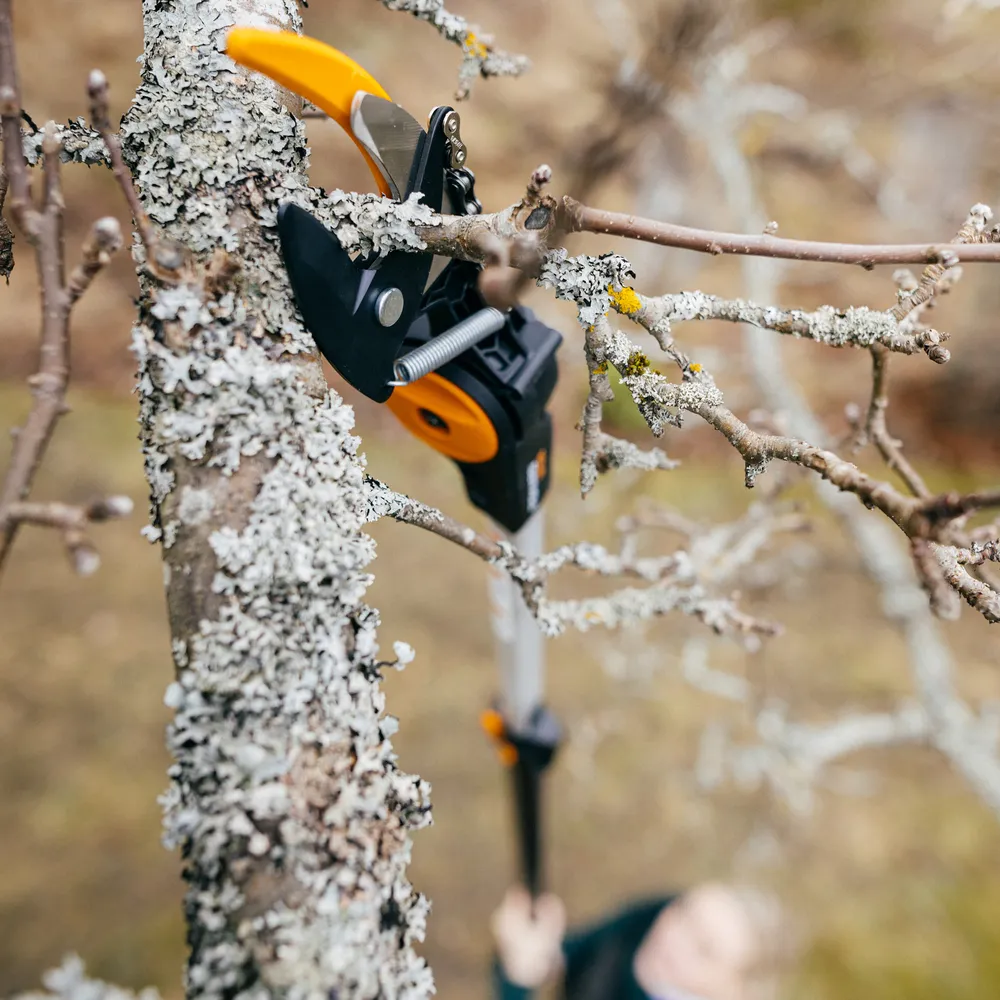 Fiskars Powergear X Telescopic Tree Pruner