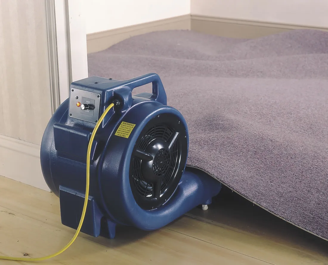 Carpet Dryer - Air Mover