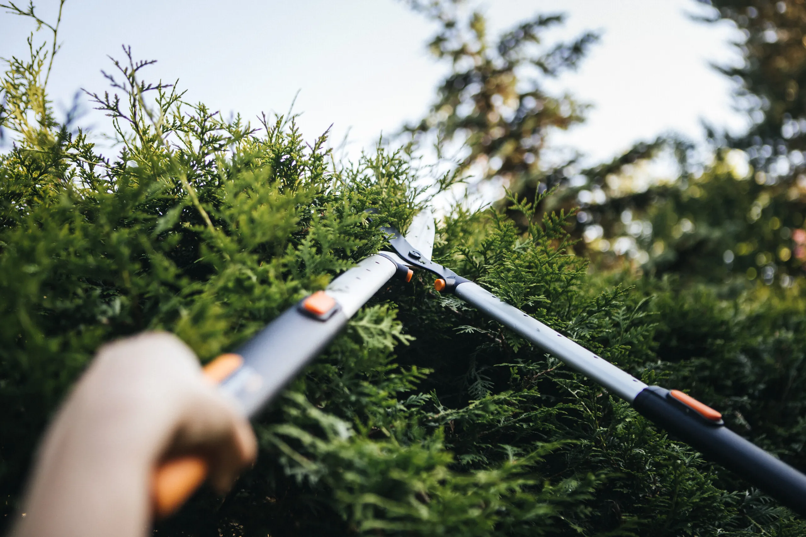Fiskars HS86 SmartFit Telescopic Hedge Shears