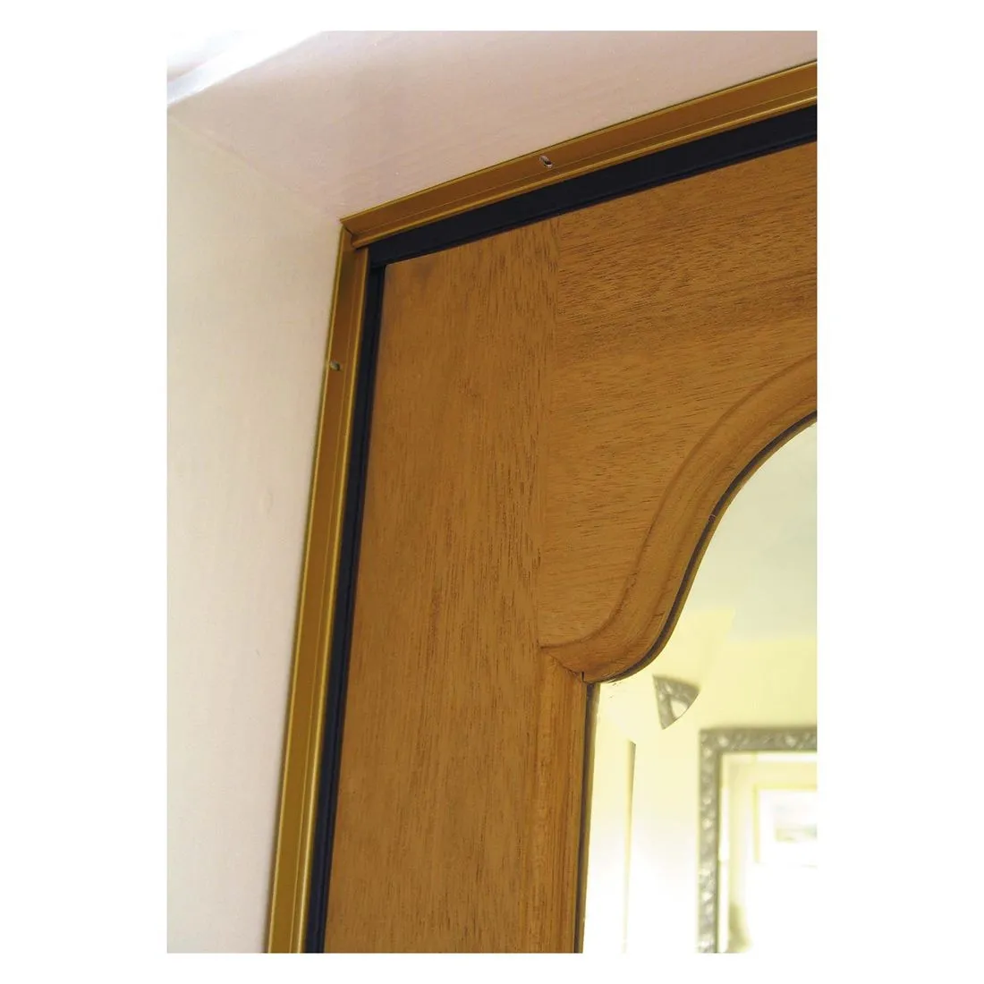 Stormguard Heavy Duty Around Door Seal Gold
