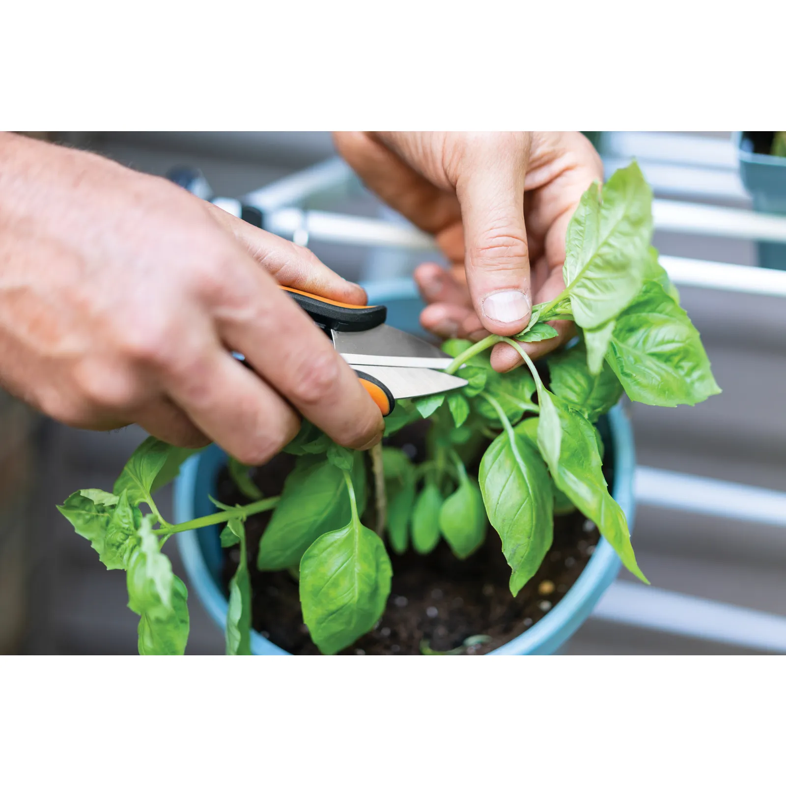 Fiskars Solid SP220 Herb Snips
