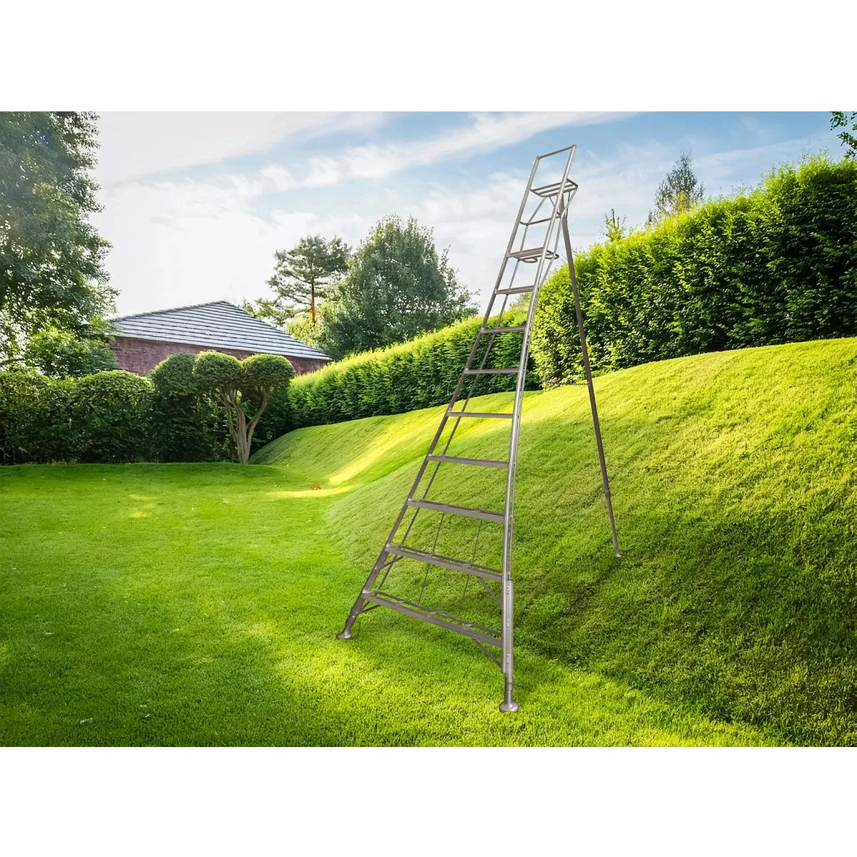 Werner Adjustable Tripod Ladder