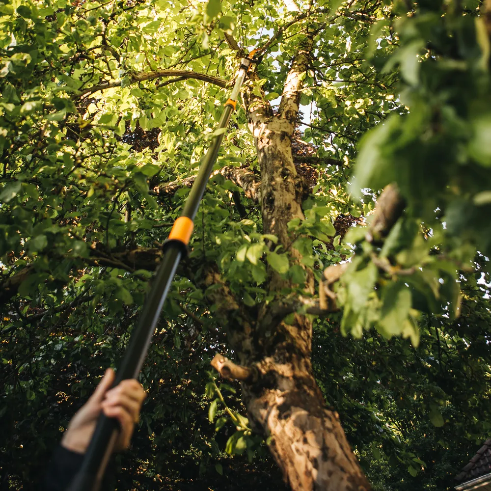 Fiskars Powergear X Telescopic Tree Pruner