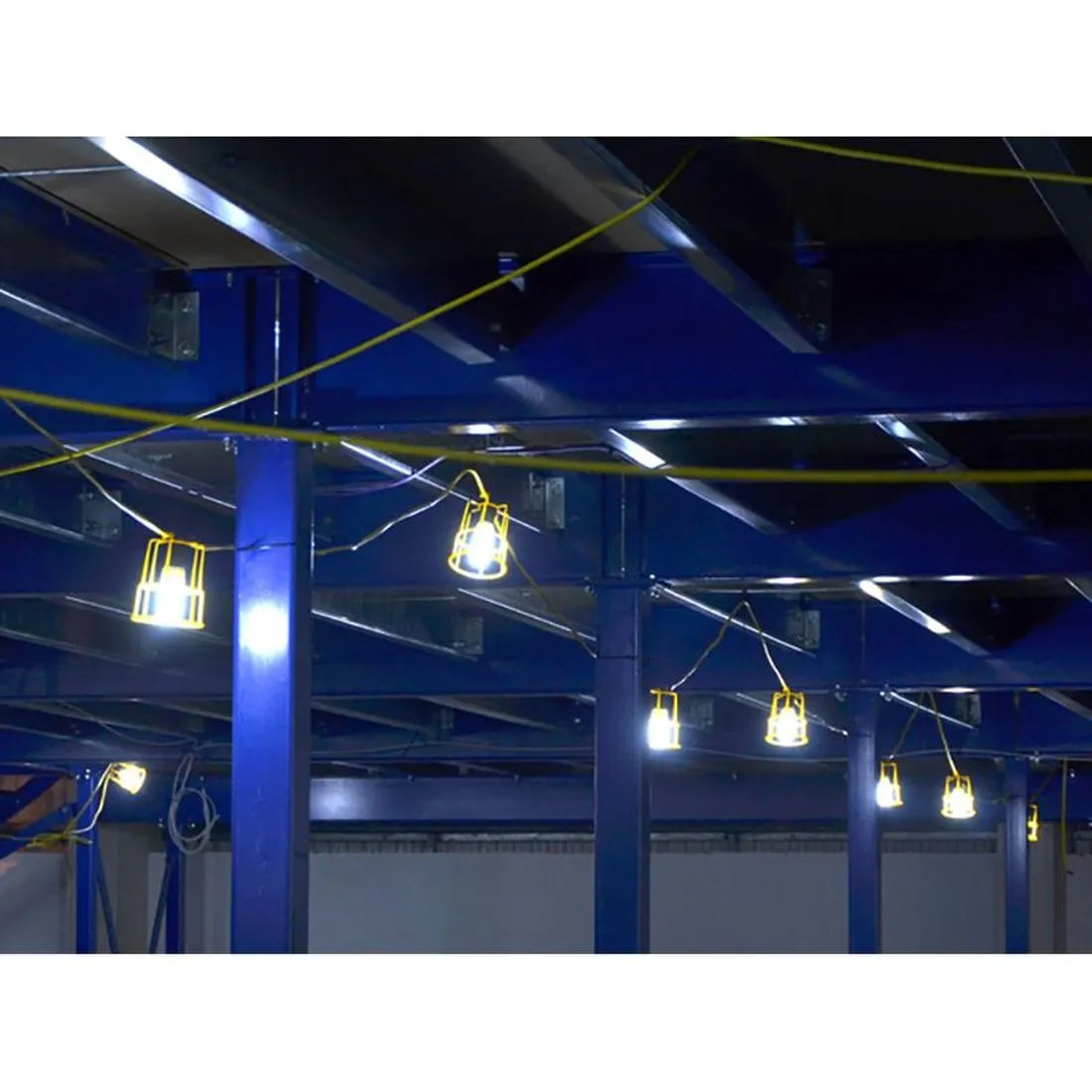 Faithfull Festoon Lights